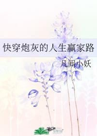 小说《快穿炮灰的人生赢家路》txt百度云_快穿炮灰的人生赢家路